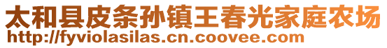 太和縣皮條孫鎮(zhèn)王春光家庭農(nóng)場(chǎng)