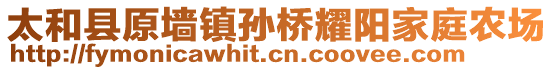 太和縣原墻鎮(zhèn)孫橋耀陽(yáng)家庭農(nóng)場(chǎng)