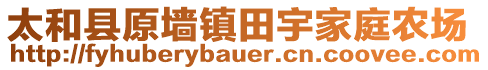 太和县原墙镇田宇家庭农场