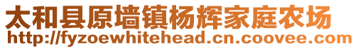 太和縣原墻鎮(zhèn)楊輝家庭農(nóng)場(chǎng)