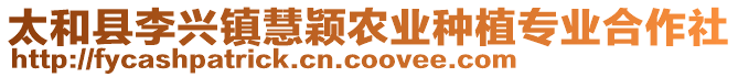 太和縣李興鎮(zhèn)慧穎農(nóng)業(yè)種植專業(yè)合作社