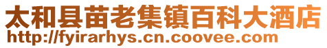 太和縣苗老集鎮(zhèn)百科大酒店