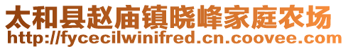 太和縣趙廟鎮(zhèn)曉峰家庭農(nóng)場(chǎng)
