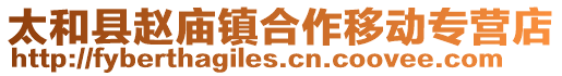 太和縣趙廟鎮(zhèn)合作移動專營店