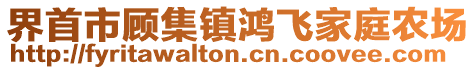 界首市顾集镇鸿飞家庭农场