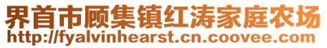 界首市顧集鎮(zhèn)紅濤家庭農(nóng)場(chǎng)