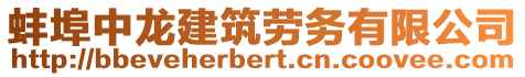 蚌埠中龍建筑勞務(wù)有限公司