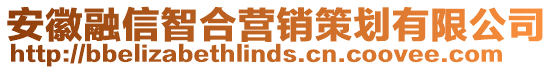 安徽融信智合營銷策劃有限公司