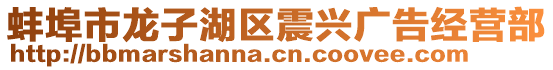 蚌埠市龍子湖區(qū)震興廣告經(jīng)營部