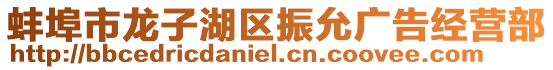 蚌埠市龍子湖區(qū)振允廣告經(jīng)營部