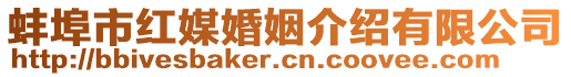 蚌埠市紅媒婚姻介紹有限公司