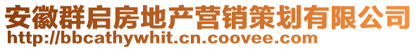 安徽群?jiǎn)⒎康禺a(chǎn)營(yíng)銷策劃有限公司