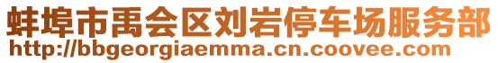 蚌埠市禹會區(qū)劉巖停車場服務部