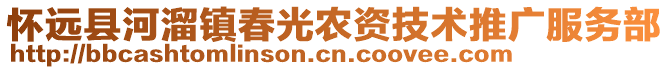 怀远县河溜镇春光农资技术推广服务部