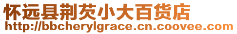 懷遠(yuǎn)縣荊芡小大百貨店