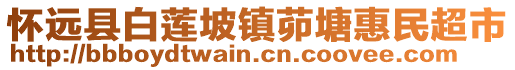 懷遠(yuǎn)縣白蓮坡鎮(zhèn)茆塘惠民超市