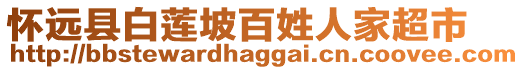 懷遠(yuǎn)縣白蓮坡百姓人家超市