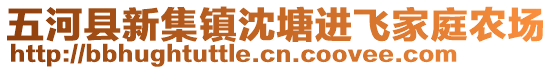 五河縣新集鎮沈塘進飛家庭農場