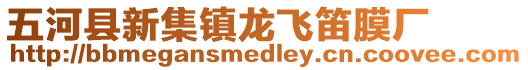 五河縣新集鎮(zhèn)龍飛笛膜廠