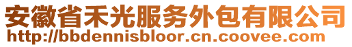 安徽省禾光服務(wù)外包有限公司