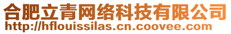 合肥立青網(wǎng)絡(luò)科技有限公司