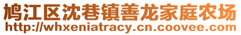 鳩江區(qū)沈巷鎮(zhèn)善龍家庭農(nóng)場