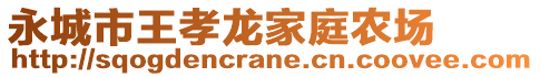 永城市王孝龍家庭農(nóng)場(chǎng)