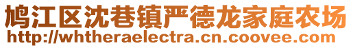 鳩江區(qū)沈巷鎮(zhèn)嚴(yán)德龍家庭農(nóng)場(chǎng)