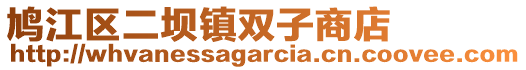 鳩江區(qū)二壩鎮(zhèn)雙子商店