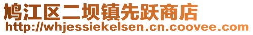 鳩江區(qū)二壩鎮(zhèn)先躍商店