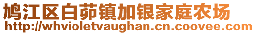 鳩江區(qū)白茆鎮(zhèn)加銀家庭農(nóng)場(chǎng)