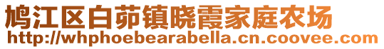 鳩江區(qū)白茆鎮(zhèn)曉霞家庭農(nóng)場