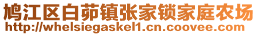 鳩江區(qū)白茆鎮(zhèn)張家鎖家庭農(nóng)場