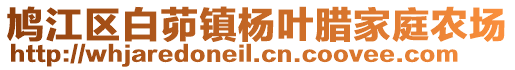 鳩江區(qū)白茆鎮(zhèn)楊葉臘家庭農(nóng)場(chǎng)