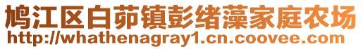 鸠江区白茆镇彭绪藻家庭农场