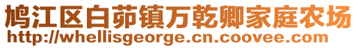 鳩江區(qū)白茆鎮(zhèn)萬乾卿家庭農(nóng)場