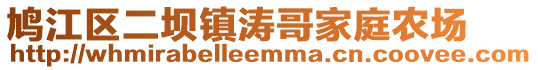 鳩江區(qū)二壩鎮(zhèn)濤哥家庭農(nóng)場(chǎng)