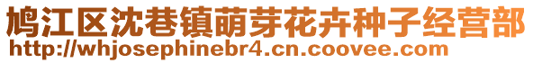 鸠江区沈巷镇萌芽花卉种子经营部