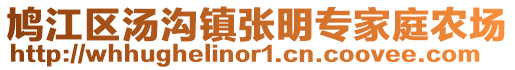 鸠江区汤沟镇张明专家庭农场