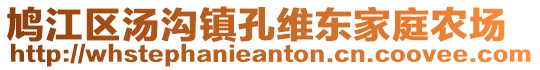 鳩江區(qū)湯溝鎮(zhèn)孔維東家庭農(nóng)場