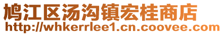 鳩江區(qū)湯溝鎮(zhèn)宏桂商店