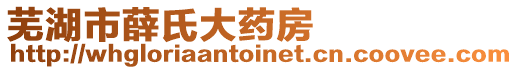 蕪湖市薛氏大藥房