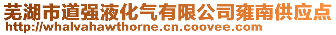 蕪湖市道強液化氣有限公司雍南供應(yīng)點