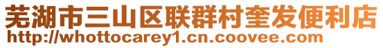 蕪湖市三山區(qū)聯(lián)群村奎發(fā)便利店