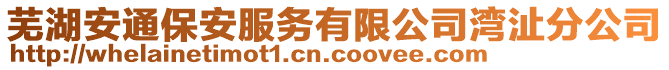 蕪湖安通保安服務有限公司灣沚分公司