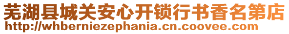 蕪湖縣城關安心開鎖行書香名第店