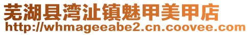 蕪湖縣灣沚鎮魅甲美甲店
