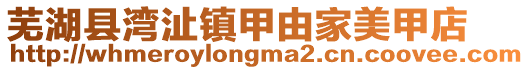 蕪湖縣灣沚鎮甲由家美甲店