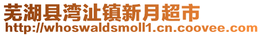 蕪湖縣灣沚鎮新月超市