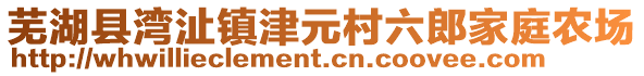 蕪湖縣灣沚鎮(zhèn)津元村六郎家庭農(nóng)場